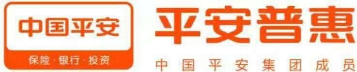 平安普惠信息服務(wù)南京廬山路分公司