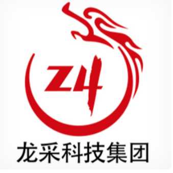 龍采科技集團有限責任公司南京分公司